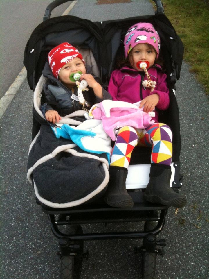 bugaboo mountain buggy